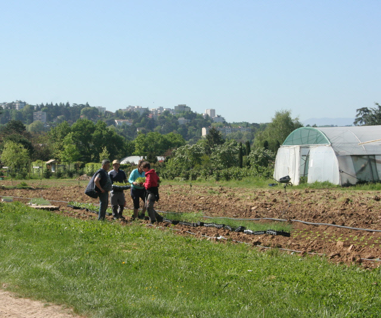 les salaries en insertion dans le cadre de la ferme photo jean desfonds 1526932859